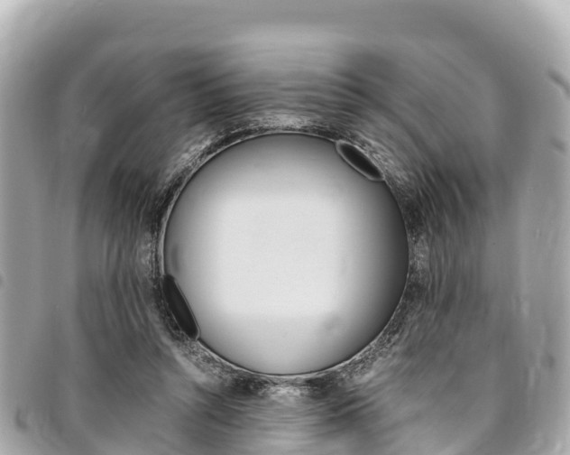 X0000095520352200712140914