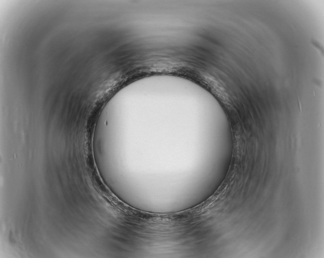 X0000095520354200712140915