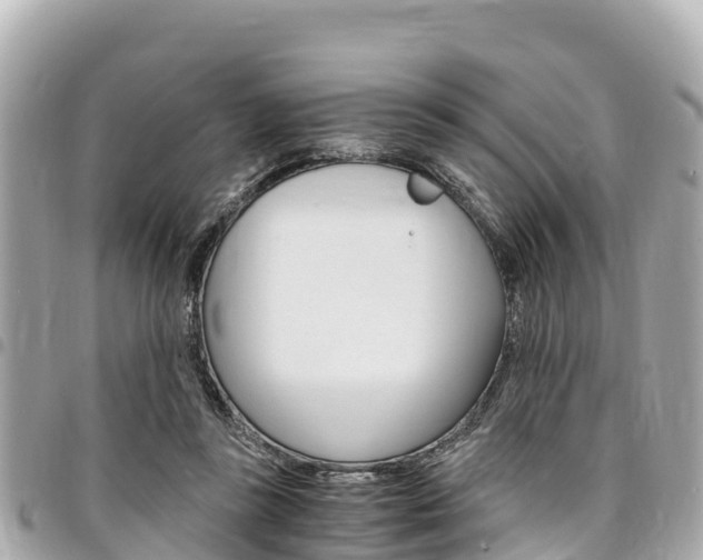 X0000095520355200712140915