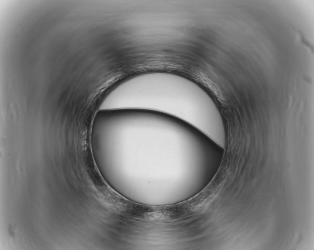 X0000095520356200712140915