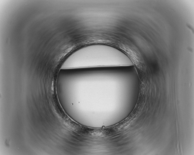X0000095520358200712140915