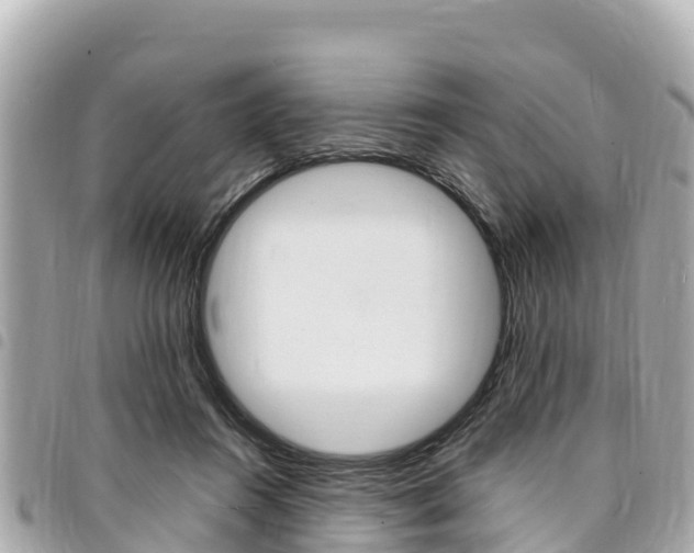 X0000095520360200712140915