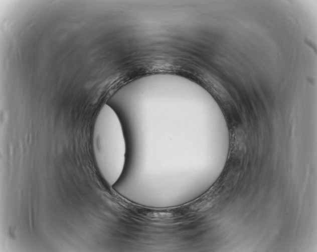 X0000095520361200712140915