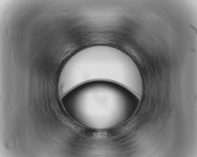 X0000095520362200712140915