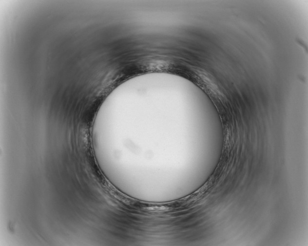 X0000095520363200712140915