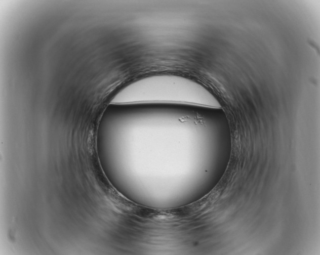 X0000095520364200712140915