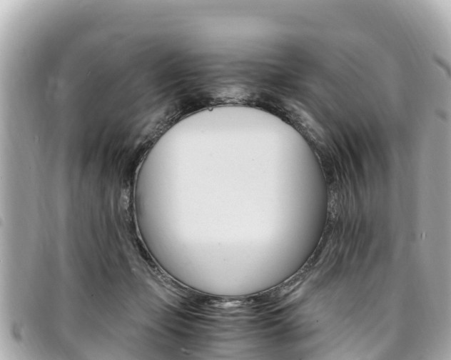 X0000095520365200712140915