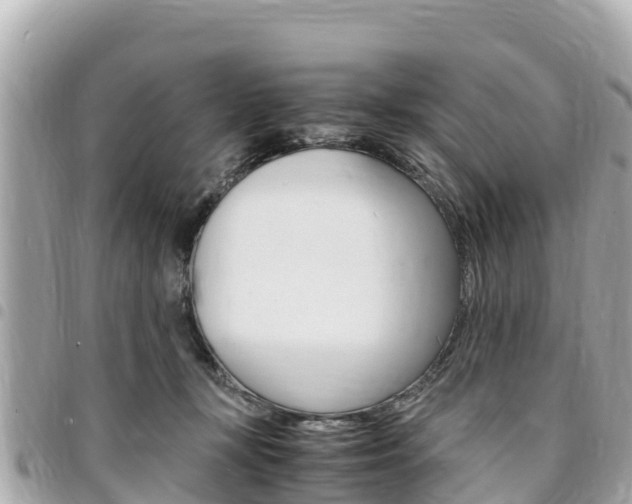 X0000095520367200712140915