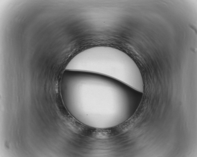 X0000095520368200712140915