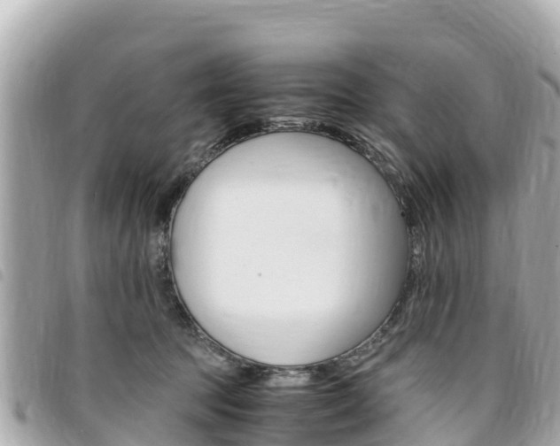 X0000095520369200712140915