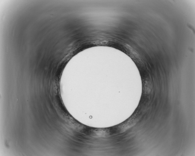 X0000095520370200712140915