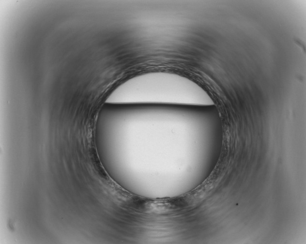 X0000095520372200712140915