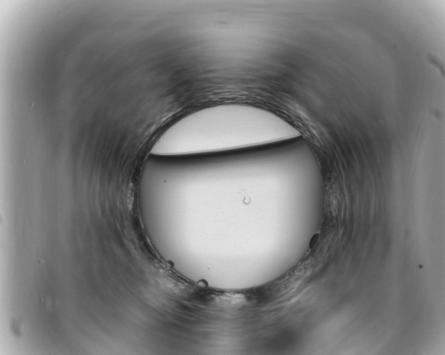 X0000095520374200712140915