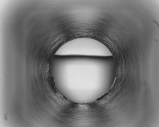 X0000095520376200712140915