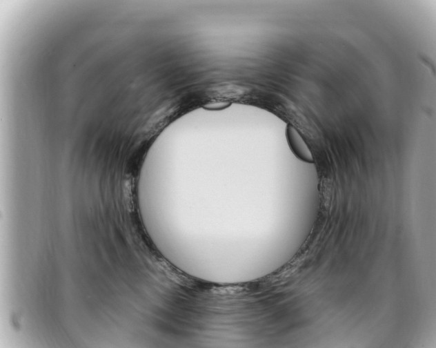 X0000095520378200712140915
