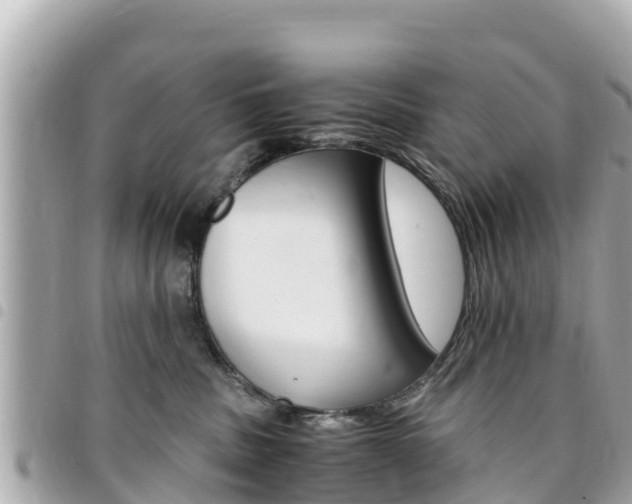 X0000095520379200712140915
