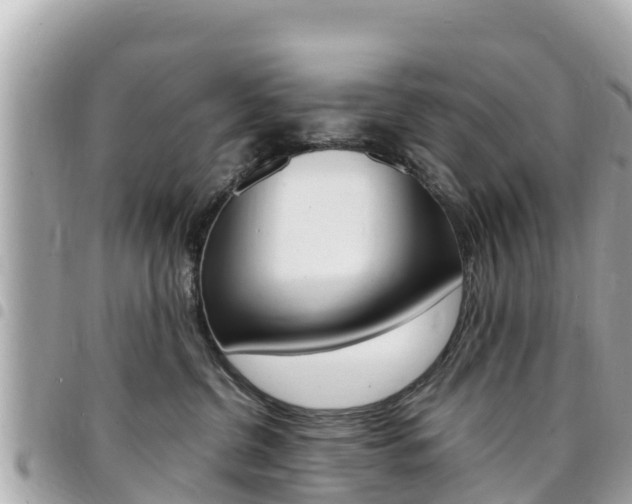 X0000095520380200712140915