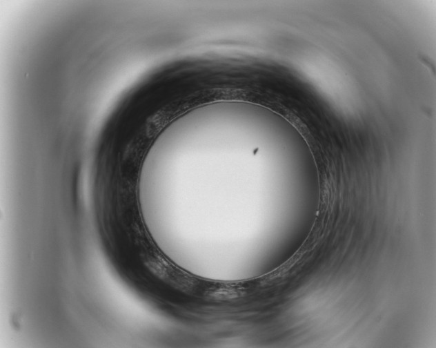 X0000095520383200712140915