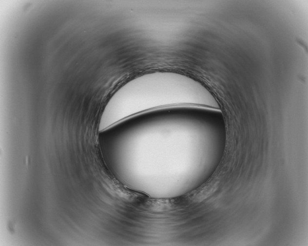 X0000095520384200712140915