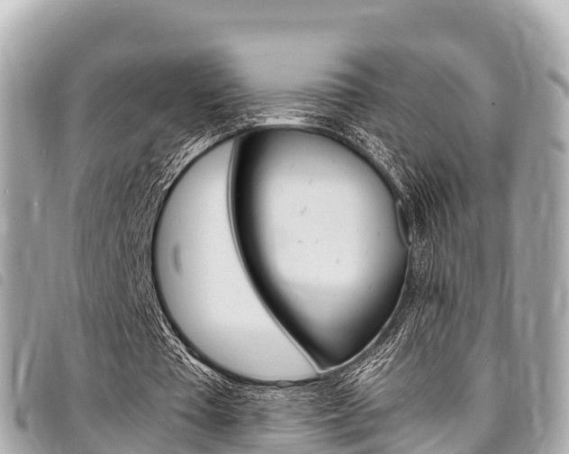 X0000095520385200712140914