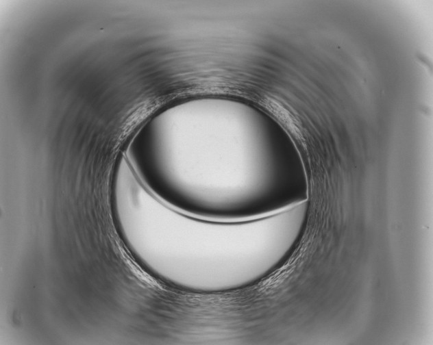 X0000095520389200712140914