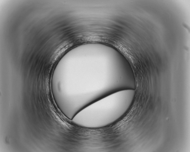 X0000095520390200712140914