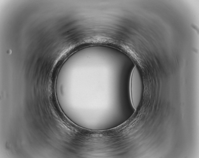 X0000095520392200712140914