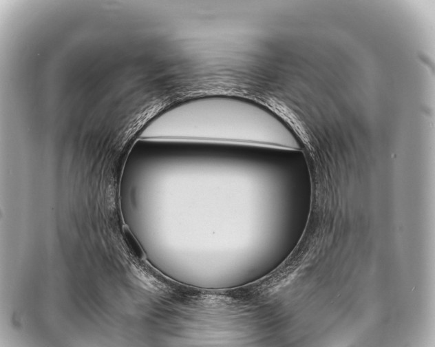 X0000095520393200712140914