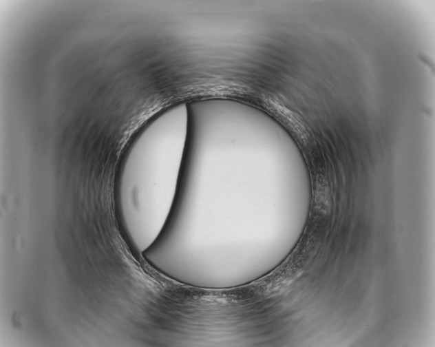 X0000095520394200712140914
