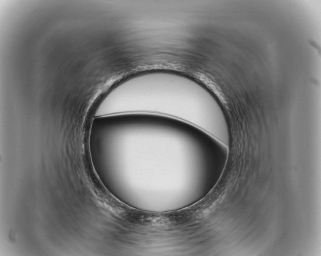 X0000095520395200712140914