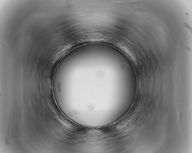 X0000095520397200712140914