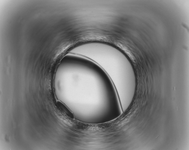 X0000095520399200712140914
