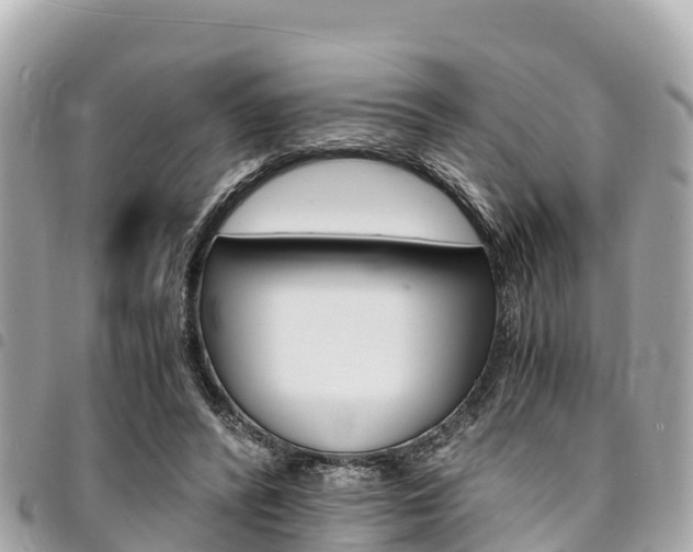 X0000095520400200712140914