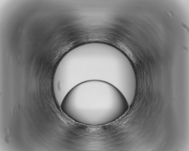 X0000095520401200712140914