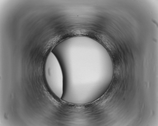 X0000095520402200712140914