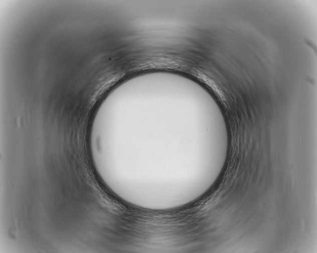 X0000095520403200712140914