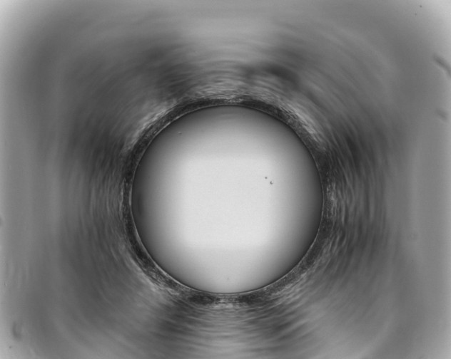 X0000095520404200712140914