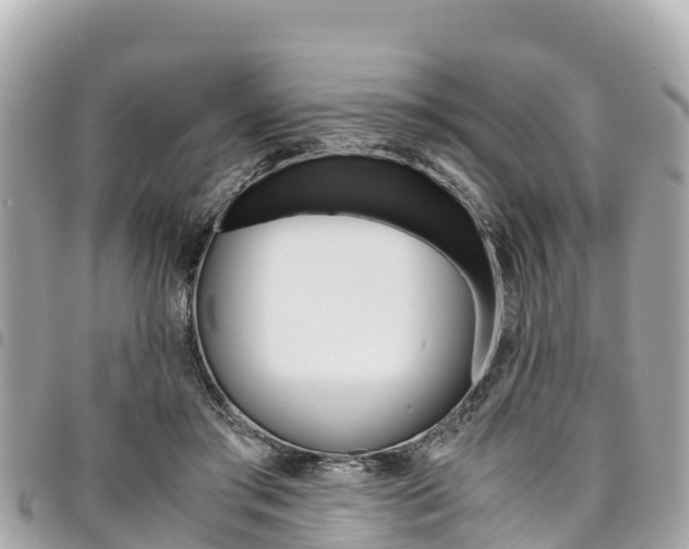 X0000095520405200712140914