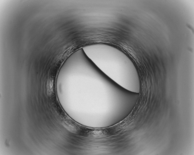 X0000095520406200712140914