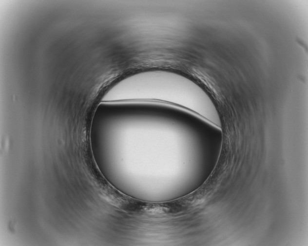 X0000095520407200712140914