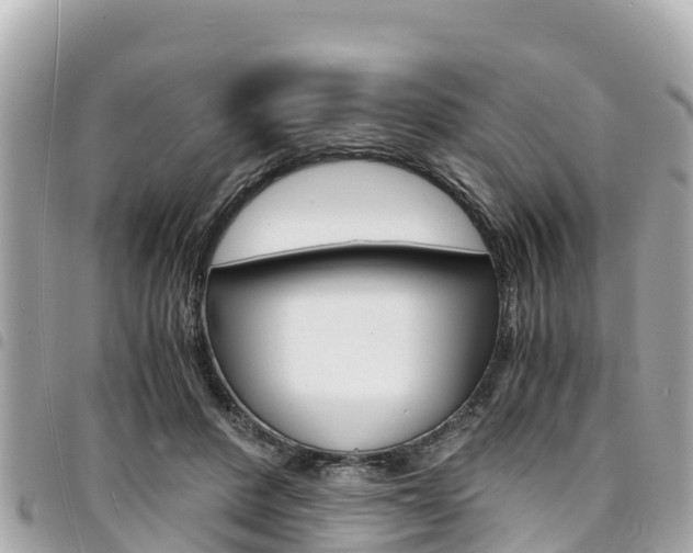 X0000095520408200712140914