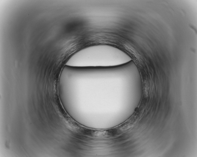X0000095520410200712140914
