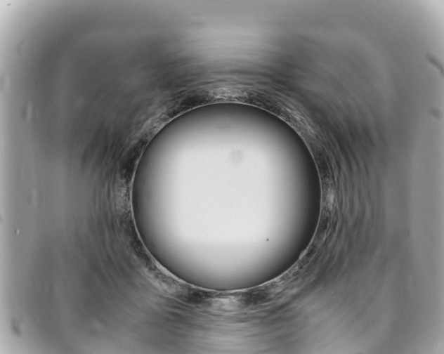 X0000095520411200712140914