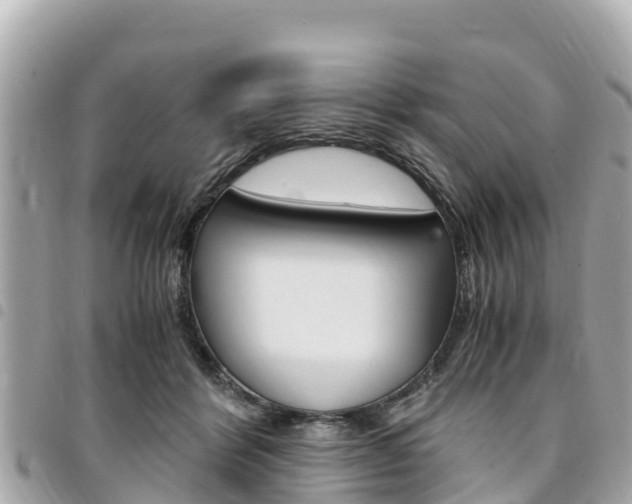 X0000095520412200712140914