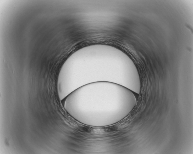 X0000095520413200712140914