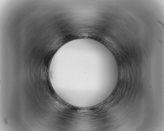 X0000095520414200712140914