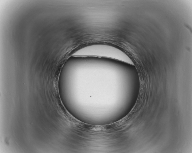 X0000095520415200712140914