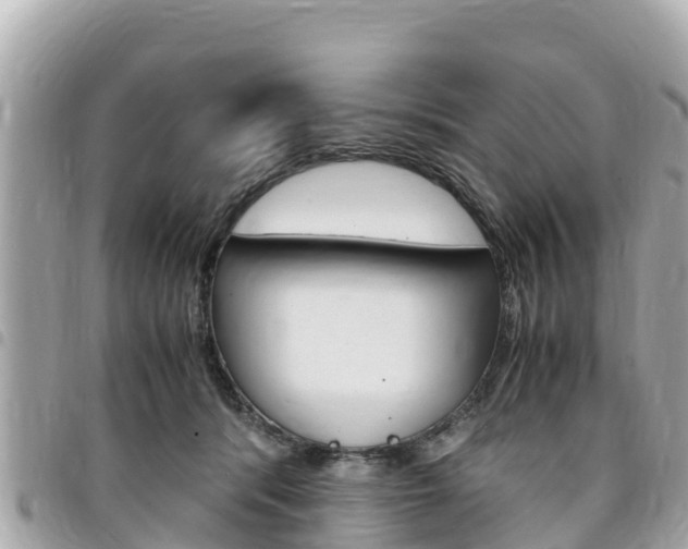 X0000095520416200712140914