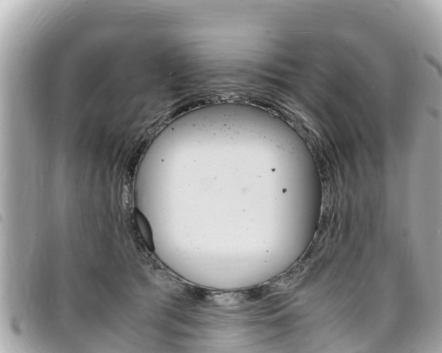 X0000095520417200712140914