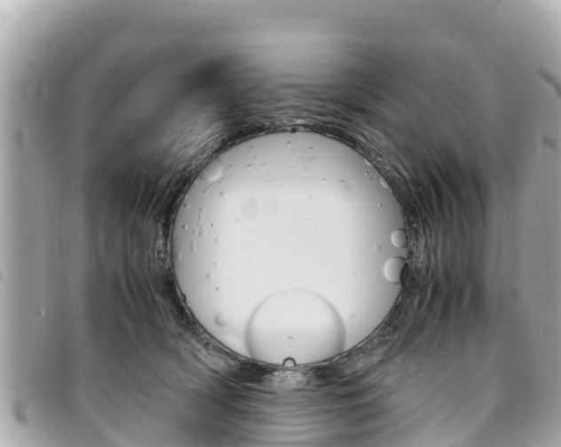 X0000095520418200712140914